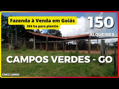 R$ 16.000.000! Oportunidade Única: Fazenda de 150 Alq. à Venda em Campos Verdes - Goiás | #agro