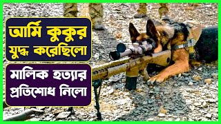 আর্মি কুকুর মালিক মারার প্রতিশোধ নিলো 😳 Movie Explained in Bangla | Cinemon