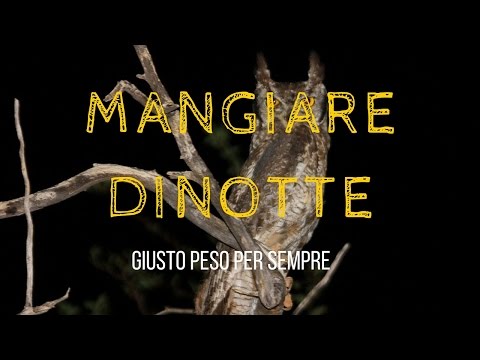 COSA FARE se ti svegli di NOTTE per MANGIARE? (PNL e mente come alleate)