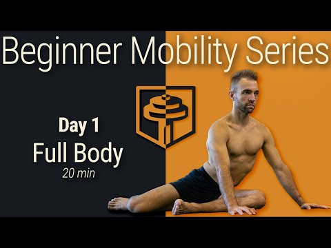 Day 1: Full Body Mobility | 20 Minutes | Beginner Mobility Series thumbnail