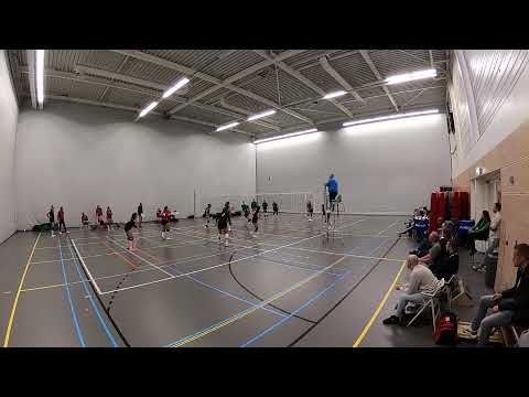 Mytilus DS1 - Vollido DS1