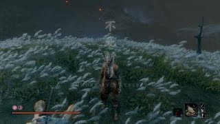 SEKIRO™： SHADOWS DIE TWICE　ラスボス討伐記念上げ