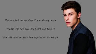 Shawn Mendes - Roses (Lyrics &amp; Pictures)