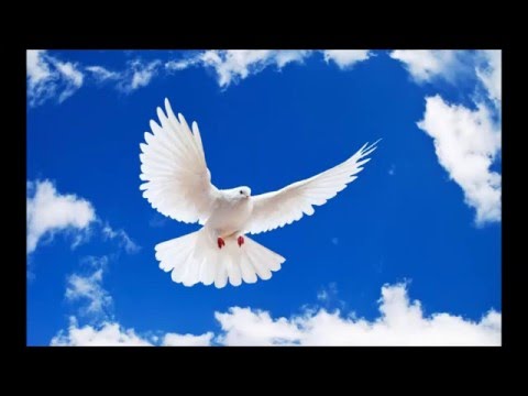 Mate Grgat - Tiho sviraj pjesmu ljubavnu (Official audio - cover)