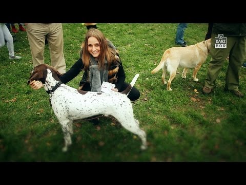 Darz bor zapowiedź odcinka 118