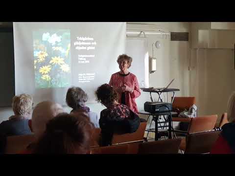 Besök av föreläsare Maj-Lis Pettersson (hortonom) på trädgårdsmässan 2022.