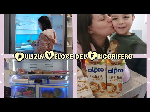 Vlog/Puliza veloce del Frigorifero/Super Spesa Lidl e Conad