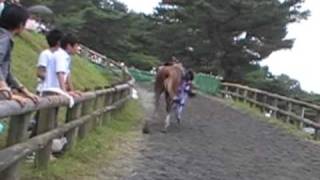 preview picture of video '相馬野馬追2009_(3) 甲冑競馬'