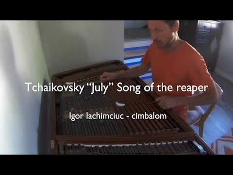 Promotional video thumbnail 4 for Cimbalom solo, or group