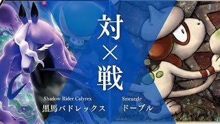 ドーブル&黒バドレックス、使い勝手🙆‍♂️/レギュレーションG
