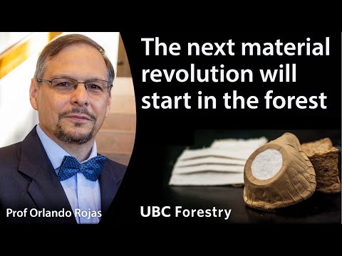 The Next Material Revolution Will Start in the Forest