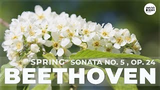 БЕТХОВЕН - ВЕСЕННЯЯ СОНАТА N 5, соч. 24