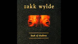 Zakk Wylde - What You're Look'n For (With Lyrics)