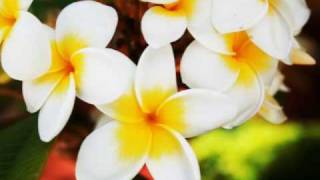 Mina - Can't Take My Eyes off You