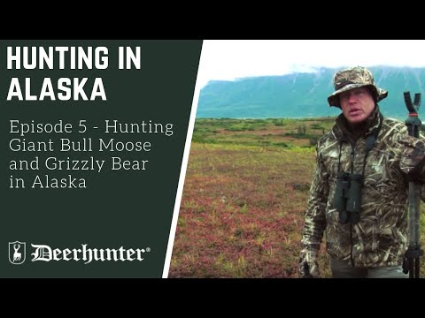 chasse en Alaska