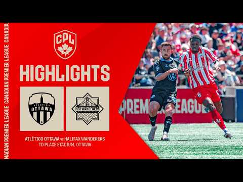 bg-highlight