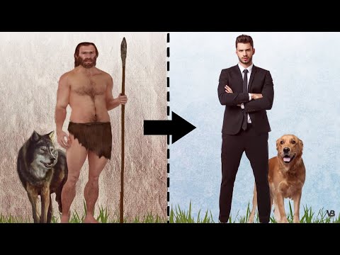 ¿Cómo se convirtieron los perros en nuestros mejores amigos?