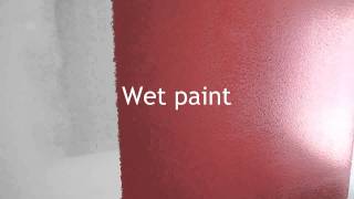 BEHR Premium Plus Ultra Eggshell Paint