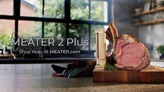 Meater 2+