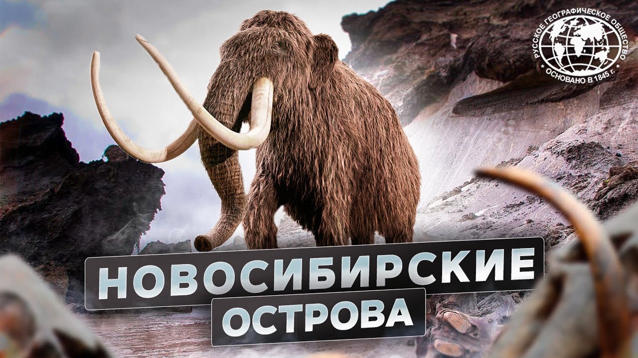 Новосибирские острова. Загадки земли мамонтов