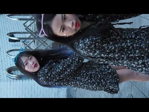 댄스팀 라르고 (Largo) 시원-사뿐사뿐(Like A Cat)_AOA 200118 홍대 Busking 직캠 A.C.E.L