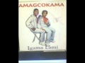 Amagcokama Angimtholanga