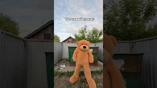 Video thumbnail image