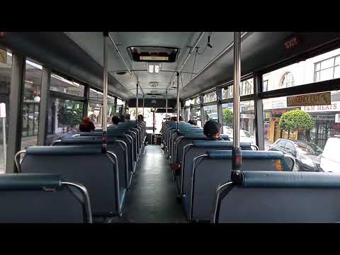 Shire Bus Service - 8145 - Hino RG197K/PMCA XL[Heathcote]