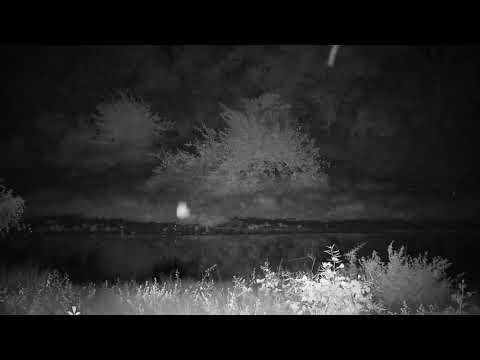 Djuma: Sights and sounds - 20:49 - 04/16/20