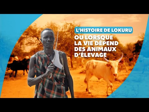 L’histoire de Lokuru, ou lorsque la vie dépend des animaux d’élevage