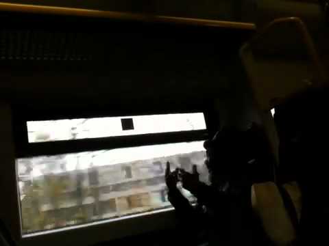 rasta man in the train