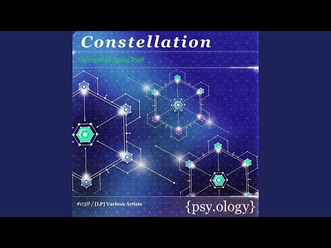 Enchanted Jungle Nights