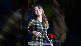 Download lagu KEHADIRAN CINTA // DIFARINA INDRA ADELLA - STORY WA DANGDUT TERBARU #shorts #ytshorts #koplo mp3