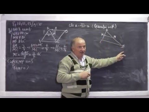 2/2 Lectia 759 - Algebra si Geometrie: Numere reale, Radical, Modul, Triunghiuri asemenea - Clasa 7