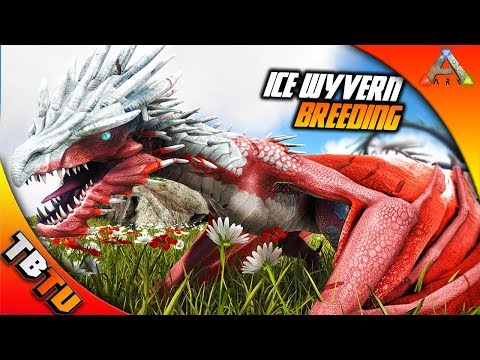 ARK ICE WYVERN BREEDING AND MUTATIONS! Ice Wyvern Baby Imprinting! Ark Survival Evolved