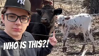 NEW STUFF ON THE FARM