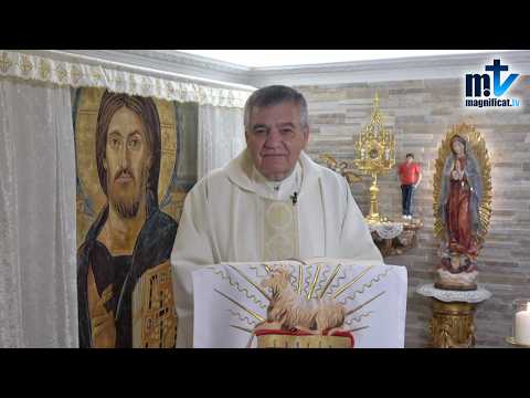 "No Tardes en Dejarte Encontrar por Dios" | Homilía, San Agustín de Hipona, Obispo y Doctor de la Iglesia (28-08-2026) | P. Santiago Martín, FM