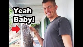 WILD CAUGHT TROPICAL FISH COLLECTING, TOP 10 Favorite Wild Caught Fish in the Jungle