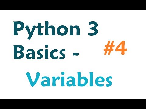 Python 3 Programming Tutorial Variables