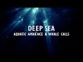 2HR Sleep Ambience | Water & Whale Calls | Deep Sea