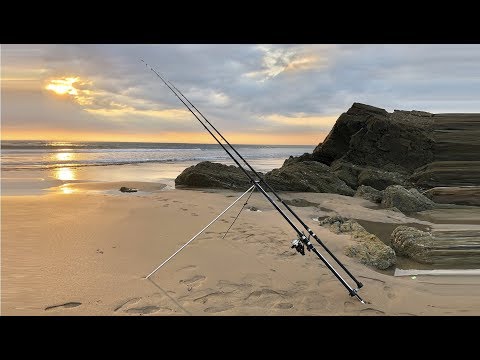 Shore Fishing UK - Beach Fishing Cornwall - Smooth Hounds, Rays and more | The Fish Locker