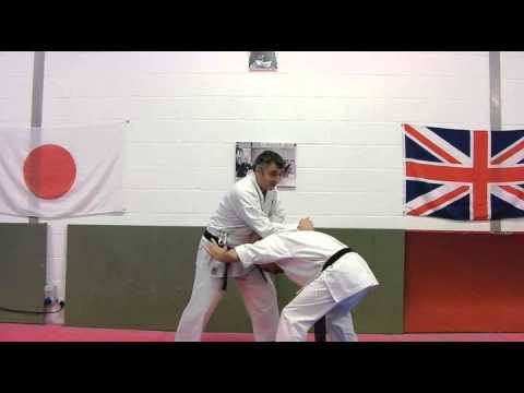 Striking parts Bunkai Strategies 2014 week 43 koryu karate oyo jutsu
