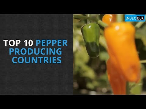 download lagu mp3 mp4 Top Black Pepper Producing Countries, download lagu Top Black Pepper Producing Countries gratis, unduh video klip Top Black Pepper Producing Countries