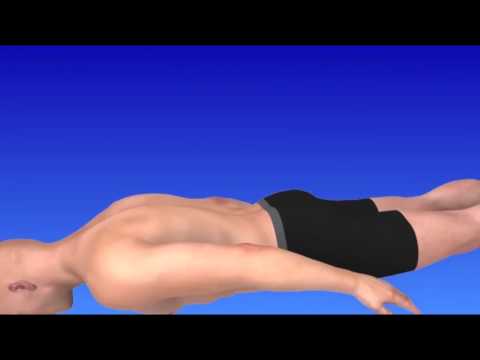 Il numero delle ossa e delle articolazioni della mano Spine della colonna cervicale