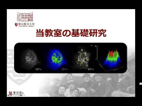 【東京医科大学】研究室紹介　免疫学分野 横須賀忠 主任教授（その2～研究編～）