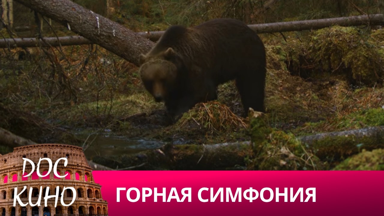 🎭 ГОРНАЯ СИМФОНИЯ 🌎 ДОКУМЕНТАЛЬНОЕ КИНО 🎆 2024