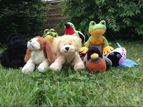 Lil' Kinz Country Intro (Original)