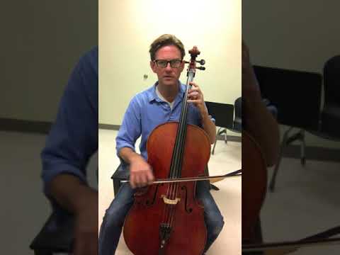 Play Shake it Off by Taylor Swift on the CELLO Tutorial