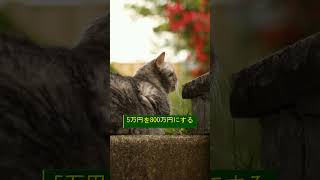 一度だけ言う。今が始める理由#初心者投資#資産運用#老後準備#日本株#高配当株#投資入門#長期保有#安定収入