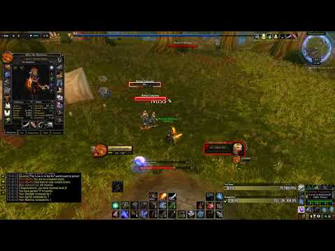 Level 1 Twink BiS Rogue Levels Up